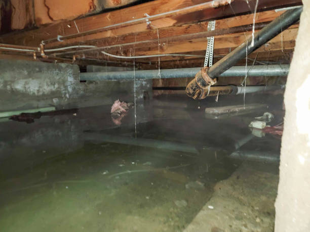 Sewage cleanup and water damage restoration in KY