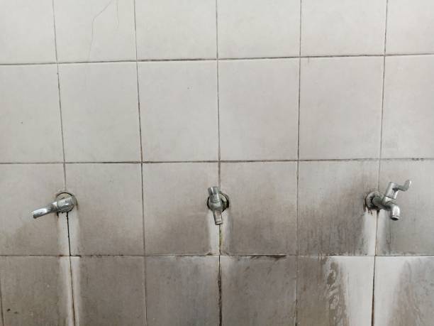 Best Professional water damage repair  in Scottsville, KY