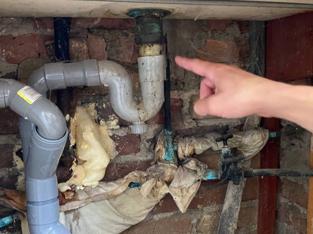Best Basement water damage restoration  in Scottsville, KY