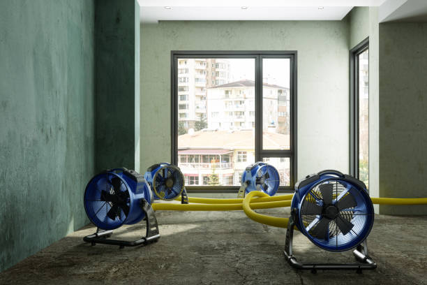 Best Water damage restoration experts  in Scottsville, KY